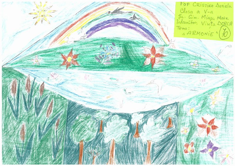 70_Cristina Daniela POP_Miresu Mare.jpg